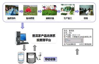 茶叶流通追溯系统 塑造品牌价值